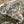 Load image into Gallery viewer, Yard Stone Decoration GA20136