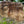 Load image into Gallery viewer, Yard Stone Decoration GA20137