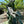 Load image into Gallery viewer, 8 Foot Bronze Free-Standing Fountain Sculpture GA20142