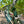 Load image into Gallery viewer, 8 Foot Bronze Free-Standing Fountain Sculpture GA20142