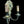 Load image into Gallery viewer, Brass Wall Sconce Set GA20077