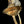 Load image into Gallery viewer, Brass Wall Sconce Pair GA20078