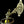 Load image into Gallery viewer, Art Nouveau Brass Wall Sconce Pair GA20096