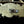 Load image into Gallery viewer, Antique Art Nouveau Brass Door Handle Pair GA1031