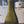 Load image into Gallery viewer, 1840's Hand Blown Green Champagne Wine Bottle 10" x 2 3/4" GS00634