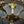 Load image into Gallery viewer, Restored Art Nouveau Brass 5-Light Chandelier GA20363