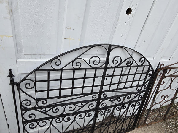 Arched Iron Garden Gate w/ Arrow Finials & Scrollwork GAM0461