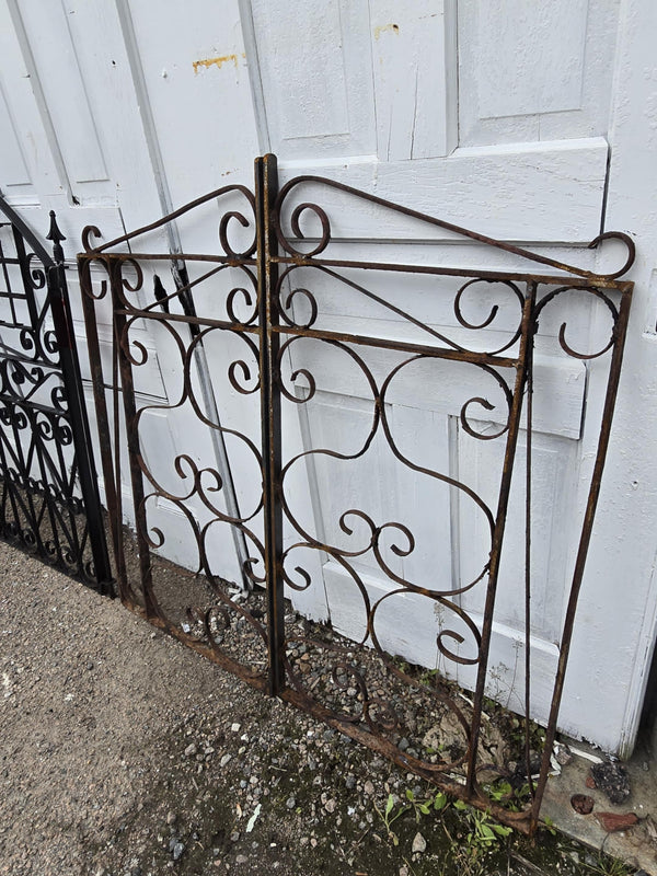 Scrolled Iron Garden Gate GAM0462