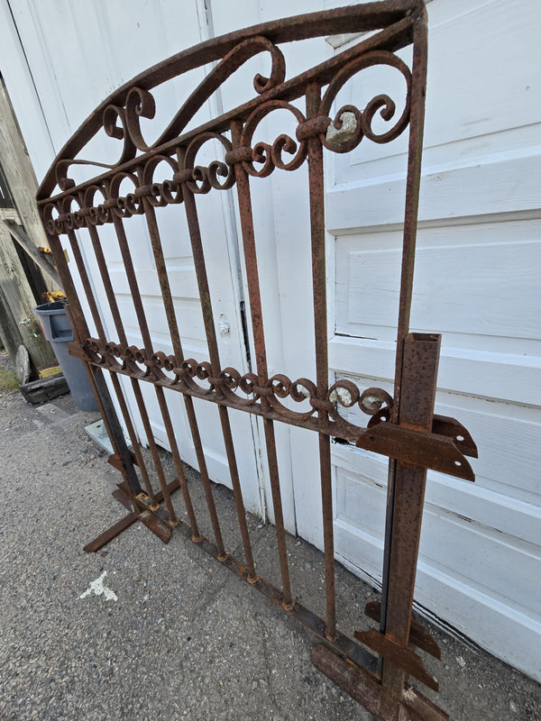 Arched Antique Iron Gate  GAM0458