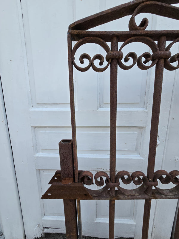 Arched Antique Iron Gate  GAM0458