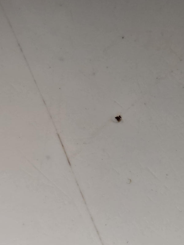 Cast Iron Gang Sink GAM0463