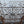 Load image into Gallery viewer, Antique Iron Gate w/ Scrollwork and Floral Medallions GAM0456
