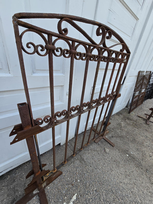 Arched Antique Iron Gate  GAM0458