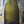 Load image into Gallery viewer, 1840's Hand Blown Green Champagne Wine Bottle 10" x 2 3/4" GS00634