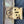 Load image into Gallery viewer, Early 1900s Ornate Bronze CNB Charlotte NC Bank Door Knob & Backplate GS00811