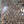 Load image into Gallery viewer, Ornate Wooden Victorian Fret Work 77" Long x 32" Tall GS00825