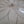 Load image into Gallery viewer, Tuscan Inspired 5 Light Chandelier w/ Textured Glass & Prisms 37" x 50" GS00626