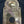 Load image into Gallery viewer, Large Cast Brass French Door Knob Backplate GA20291