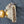 Load image into Gallery viewer, Early 1900s Ornate Bronze CNB Charlotte NC Bank Door Knob & Backplate GS00813