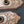 Load image into Gallery viewer, Pair of Restored Art Nouveau Door Knob Back Plates 8 1/4" x 2 3/8" GS00584