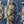 Load image into Gallery viewer, Set of 6 Brass Ornate Lion's Mane Drawer Pulls 4 1/2" x 2 1/4" GS00792