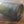 Load image into Gallery viewer, 1840's Hand Blown Green Champagne Wine Bottle 10" x 2 3/4" GS00634
