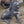 Load image into Gallery viewer, Free Standing Sculptured Cast Bronze Roaring Lion Statue GA9575
