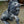 Load image into Gallery viewer, Free Standing Sculptured Cast Bronze Roaring Lion Statue GA9575