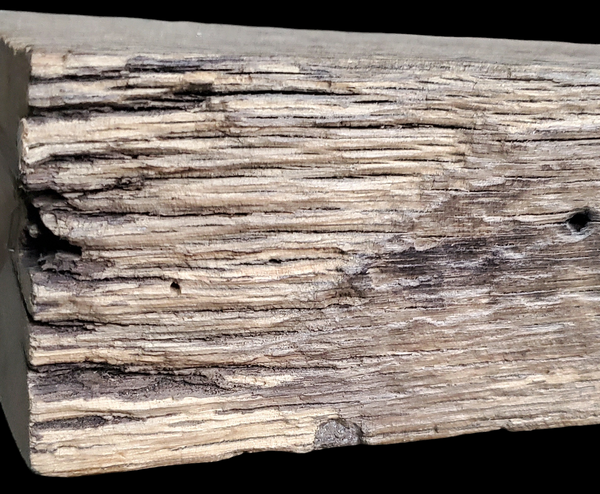American Chestnut Beam *GAM0111