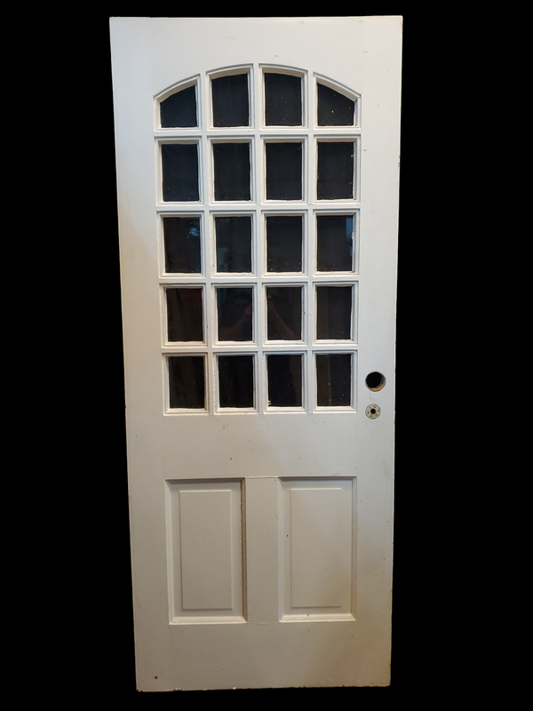 Solid Wood Arched 20 Lite- 2 Panel Door 32" x 79 1/4" x 1 3/4" Thick GAM0006