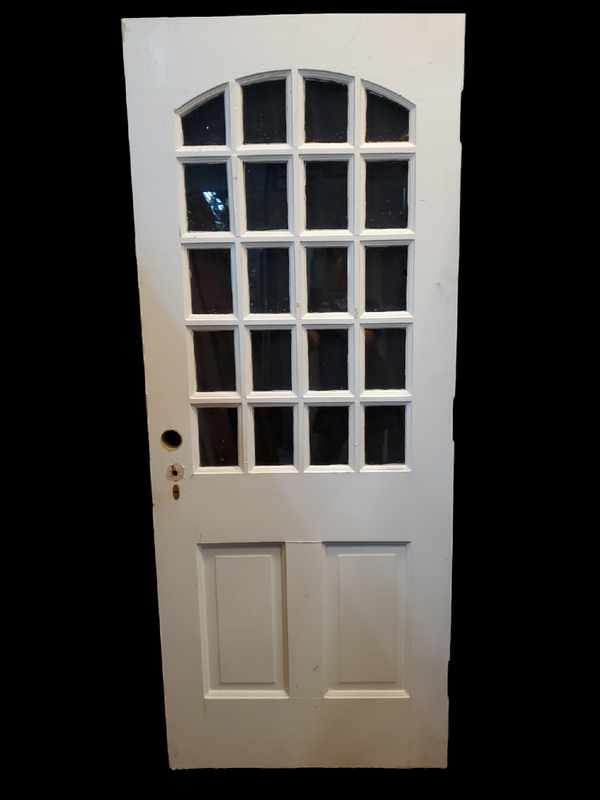 Solid Wood Arched 20 Lite- 2 Panel Door 32" x 79 1/4" x 1 3/4" Thick GAM0006