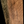 Load image into Gallery viewer, American Chestnut Beam *GAM0111
