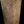 Load image into Gallery viewer, American Chestnut Beam *GAM0111
