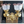 Load image into Gallery viewer, Converted Brass Two Light Sconce With Frosted Etched Ruffled Shades #G2LS