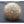 Load image into Gallery viewer, Ornate Brass Interior Door Knob with Thumb Turn #GA4218