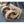 Load image into Gallery viewer, Pair of Very Large Industrial Iron Casters #GA4280