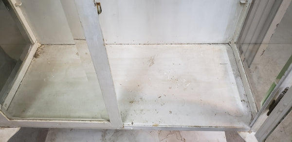Pair of Steel Medical Cabinets with Beveled & Wavy Glass on Cabriole Legs #GA2190
