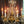 Load image into Gallery viewer, Restored Early Dury Bronze Electrified 6 Light Crystal Prism Chandelier #GA2198
