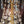 Load image into Gallery viewer, Restored Early Dury Bronze Electrified 6 Light Crystal Prism Chandelier #GA2198
