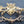 Load image into Gallery viewer, 12 Piece Solid Brass Sun God Design Drawer Pulls & Key Hole Escutcheons #GA2204