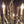 Load image into Gallery viewer, Pair of Mid-Century Modern Vintage Italian Chandeliers by Gaetano Sciolari #GA2209