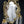 Load image into Gallery viewer, Antique Art Nouveau Brass 2 Candle Mirror Sconce with Hanging Cut Crystal Prisms #GA2288