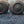 Load image into Gallery viewer, 5 pairs of Louis XVI knobs #GA-M012