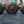 Load image into Gallery viewer, 5 pairs of Louis XVI knobs #GA-M012
