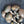 Load image into Gallery viewer, 5 pairs of Louis XVI knobs #GA-M012