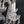 Load image into Gallery viewer, 5 Light Crystal Chandelier with Faceted Prisms & Double Bobeche`s #GA9109