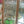 Load image into Gallery viewer, Art Nouveau Textured Beveled Leaded Glass Window in Wood Frame #GA9129
