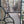 Load image into Gallery viewer, Art Nouveau Textured Beveled Leaded Glass Window in Wood Frame #GA9129