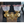 Load image into Gallery viewer, Converted Brass Two Light Sconce With Frosted Etched Ruffled Shades #G2LS