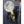 Load image into Gallery viewer, Mortise Lock Set with Crystal Doorknobs Brass Backplates & Thumb Turn #GA1067